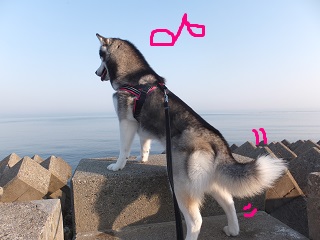 パトロール♪