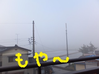 朝からもや~
