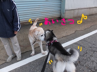 ちゃんと挨拶♪