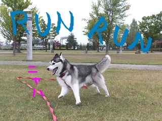 RUN RUN
