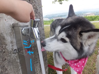 ジャーー