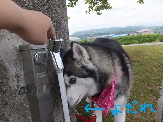 ヨダレ