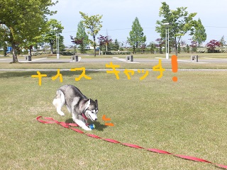 オリバーカーン