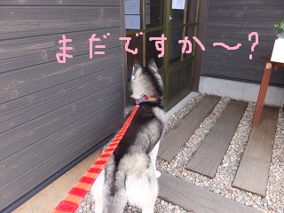 まだですか?