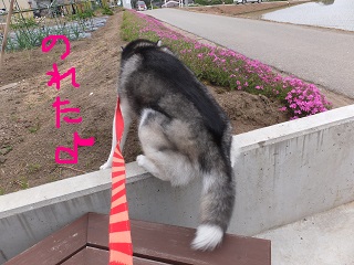 登れた♪