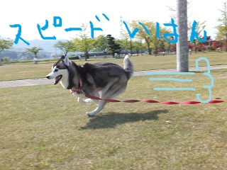 スピード違反