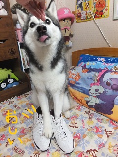 おしい!
