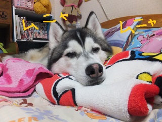 むにゃむにゃ