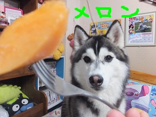 メロン