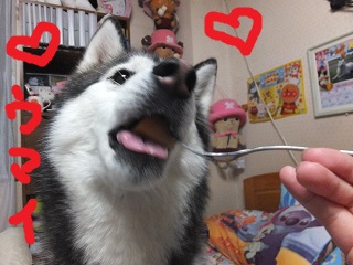 メロンうまい