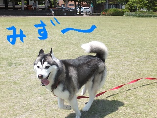 みず~