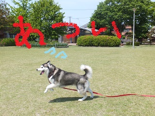 今日は暑い!!