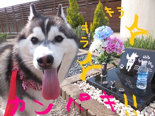 完璧だよ!!