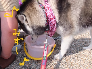水~♪