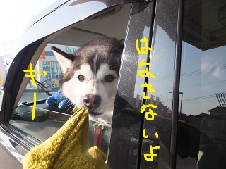 離さないよ