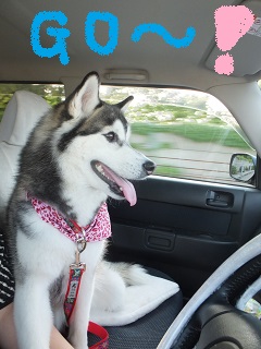 GO~!!