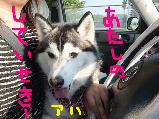 あたしの指定席~