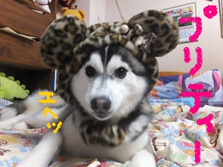 プリティー