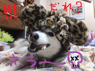 ホラー