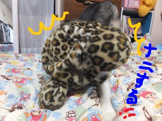 何する!!