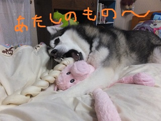 あたしのもの~