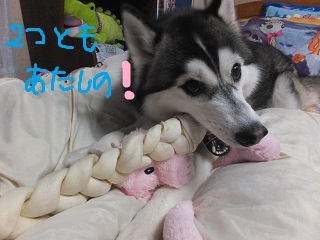 二つともあたしの
