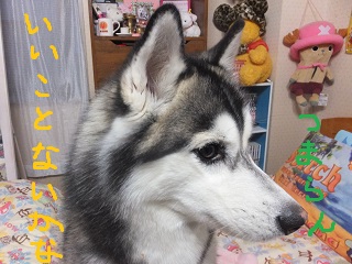 いいことないかな?