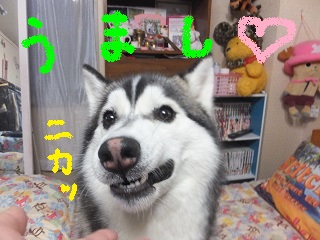 うまし☆ニカッ