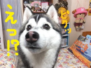 えっ??