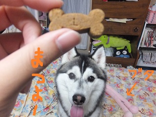 待つよー