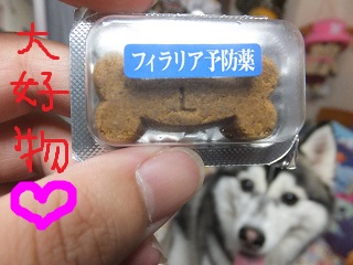 大好物☆