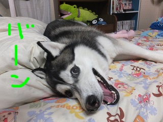 バーン