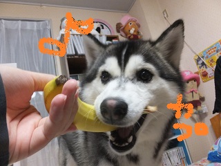 バナナカプッ