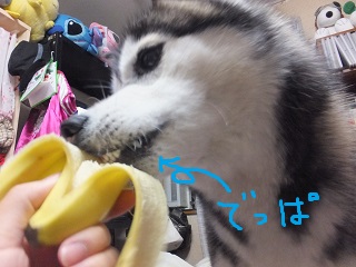 出っ歯