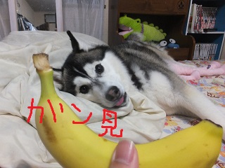 がん見