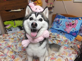 ブタさんおんぶ