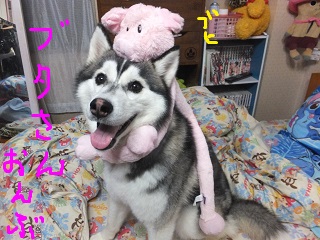 ブタさんおんぶ2
