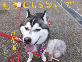 もうむしらないで・・・