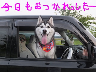 今日もお疲れっしたー