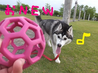 おNEW