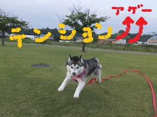 テンション上げ