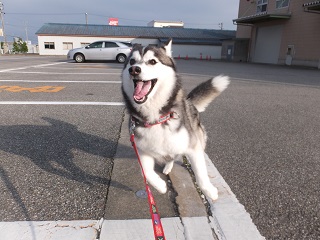 元気100%