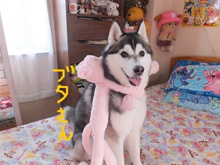 ブタさんおんぶ