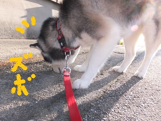 ズボッ!!