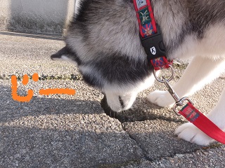 なにこの穴?