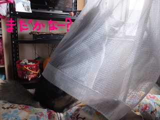 まだかな?