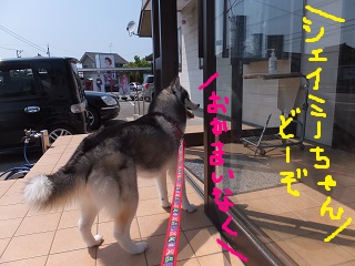 おかまいなくー