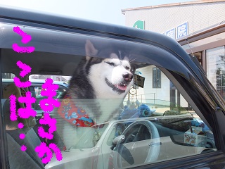 まさか・・・