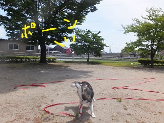 ぽーん