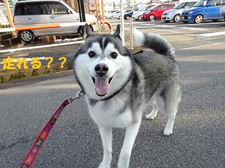 走れる??